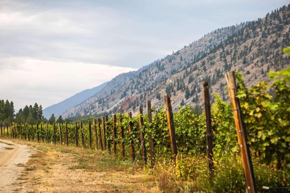 Similkameen Wild Resort & Winery Retreat Осойос Екстериор снимка